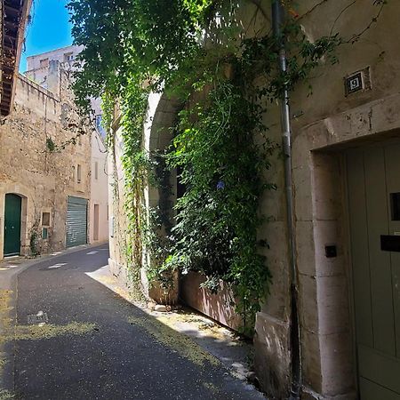 Wifi - Hypercenter - In The Heart Of Avignon! Leilighet Eksteriør bilde